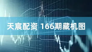 天宸配资 166期藏机图