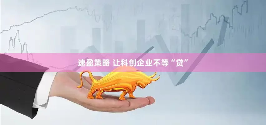 速盈策略 让科创企业不等“贷”