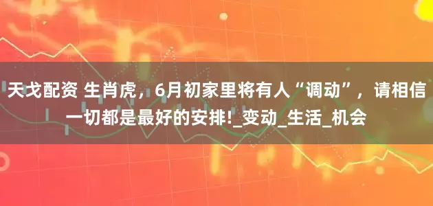 天戈配资 生肖虎，6月初家里将有人“调动”，请相信一切都是最好的安排!_变动_生活_机会